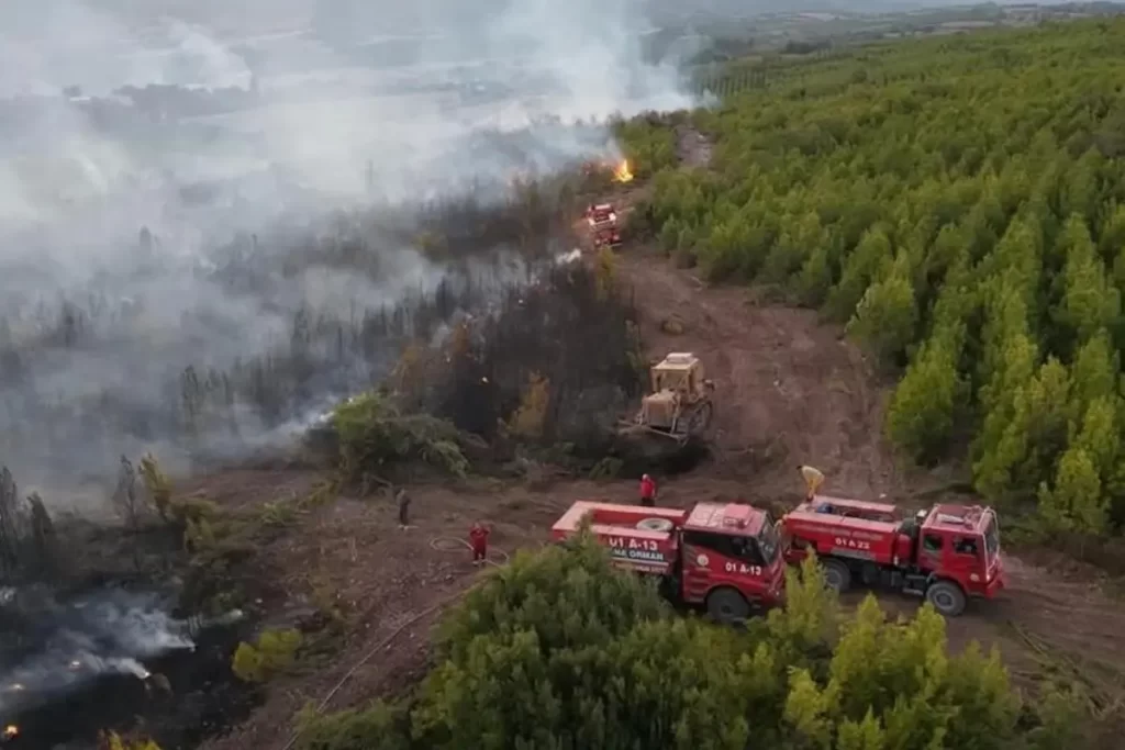 Osmaniye’deki Orman Yangını ve Son Dakikalar