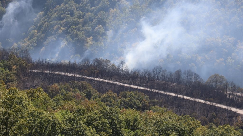 Tarım ve Orman Bakanı Yumaklı’dan Yangınlara Hızlı Müdahale Açıklaması