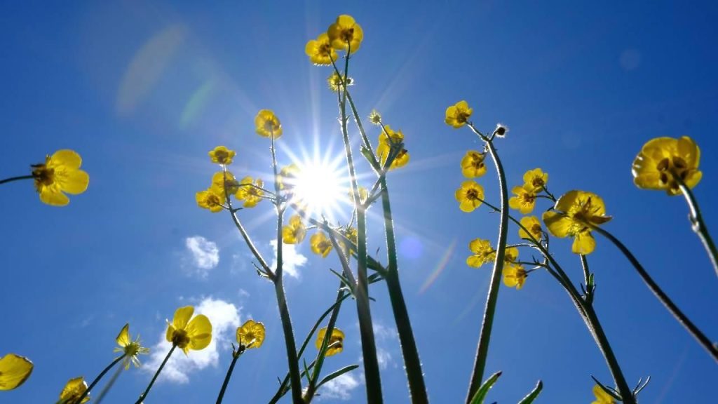 Türkiye 2025 Temmuz Sıcak Rekoru Kırdı