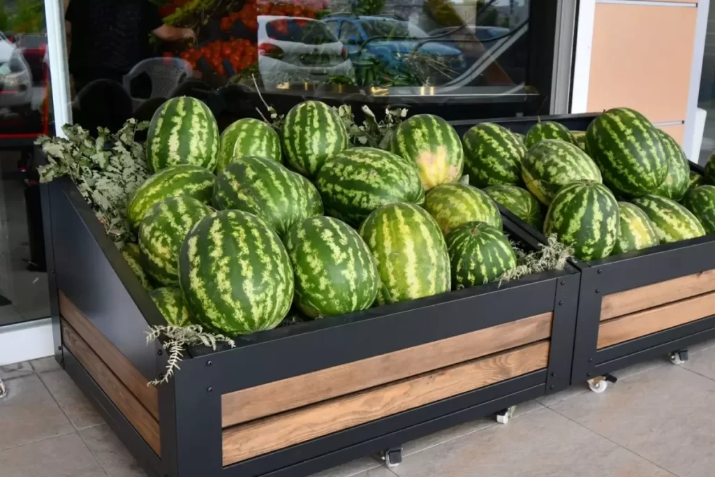 Türkiye’de Girdi Fiyatlarındaki Artış ve Üretici-Market Farkları Değerlendirildi