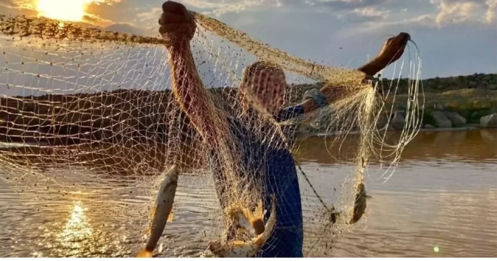 2025 Balık Av Sezonu Açılışı ve Av Yasağı Sonu Belirlendi