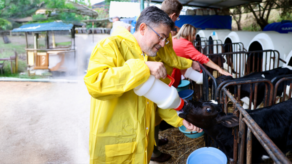 2025 Haziranı Verileriyle Hayvancılıkta Büyüme Hedefleri Güçleniyor