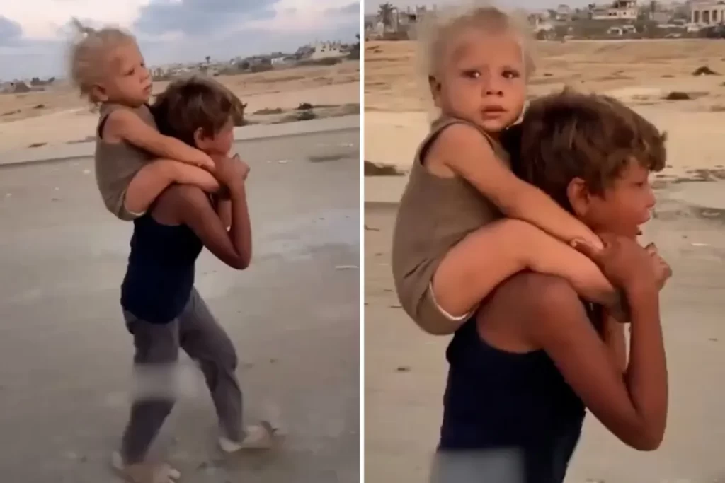 Gazze’de sivillerin yaşam mücadelesi devam ediyor