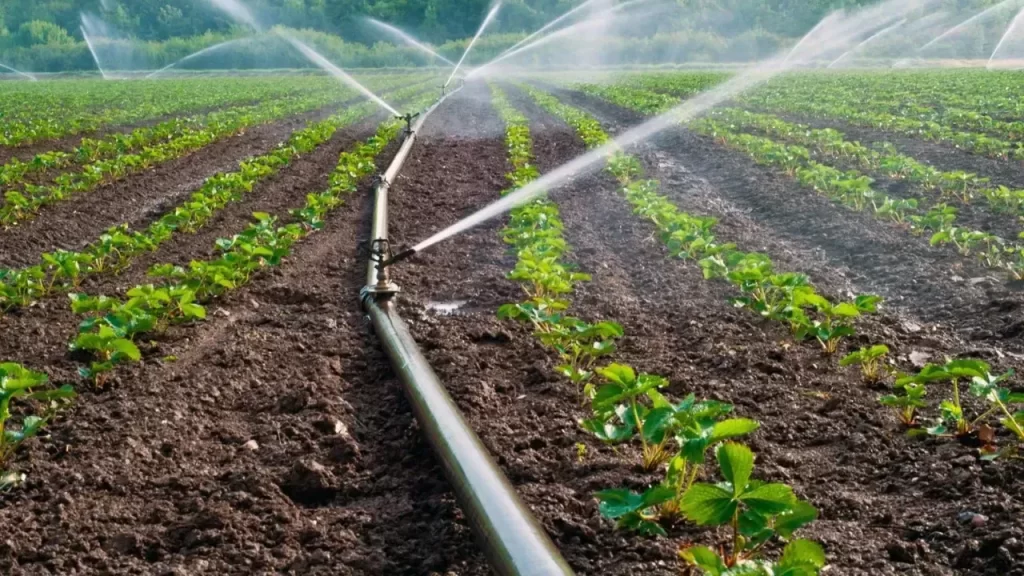 Gürün Çamlıca Sulama Tesisi İhalesi Tamamlandı