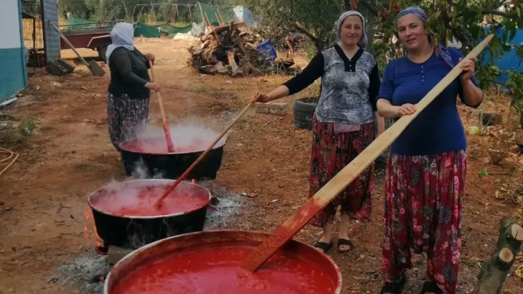 Kadınlar domatesle kışlık salça hazırlığında endüstriyel yöntemleri kullanıyor