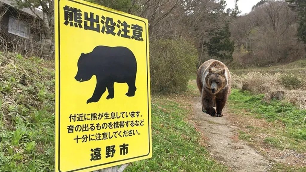 Kırsal bölgelerde ayı saldırılarına yeni önlemler getirildi