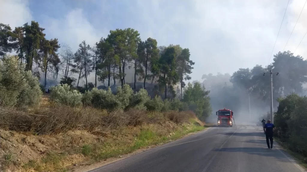 Manavgat’ta Orman Yangını Kontrol Altında