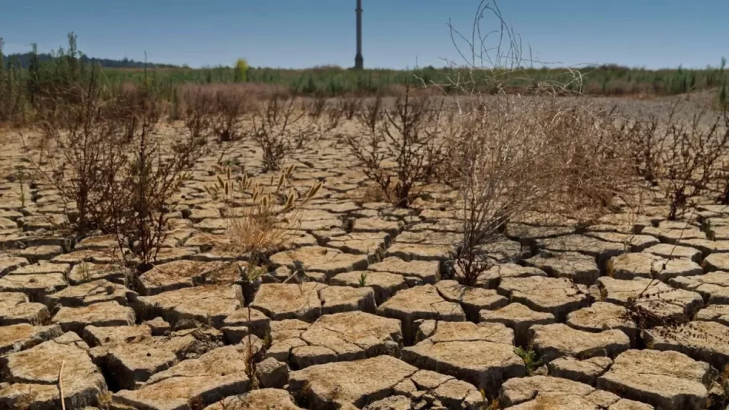 Prof. Dr. Murat Türkeş: Türkiye’de Kuraklık ve Yağış Durumu