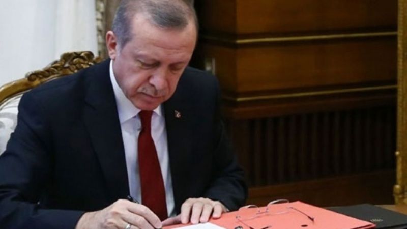 Safi Arpaguş, Diyanet İşleri Başkanı Oldu