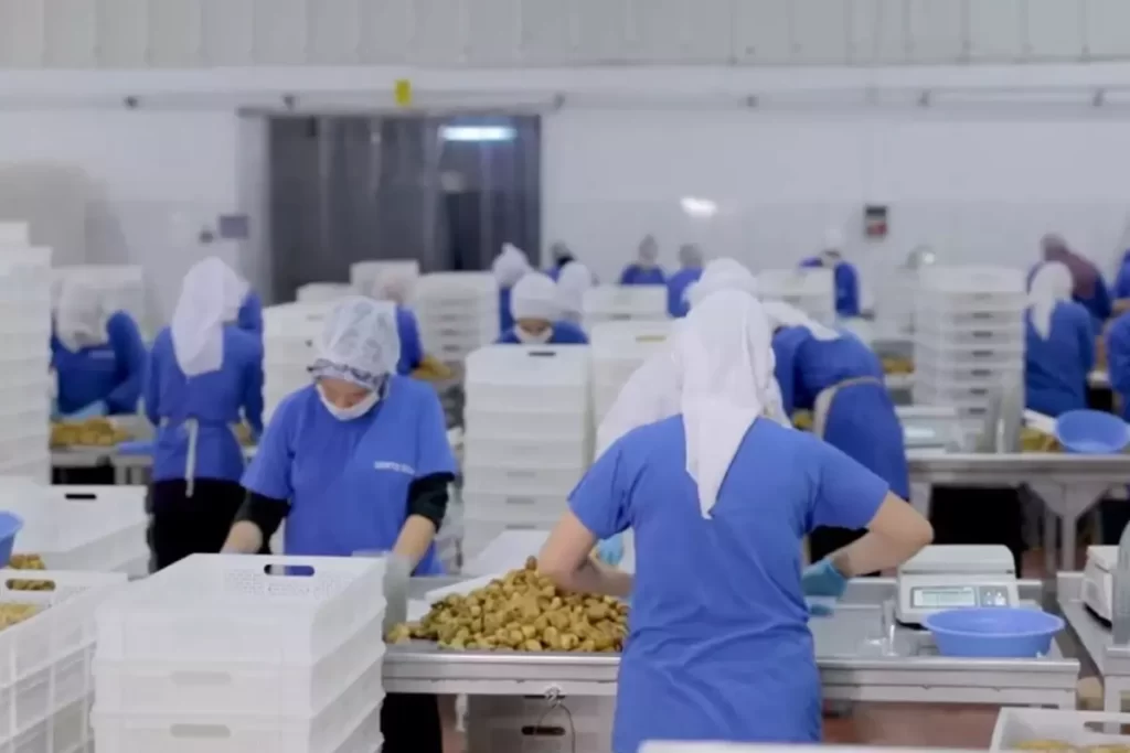 Sante Gıda Konkordato Başvurusunda Bulundu, İhracatta Sıkıntı Çıkıyor