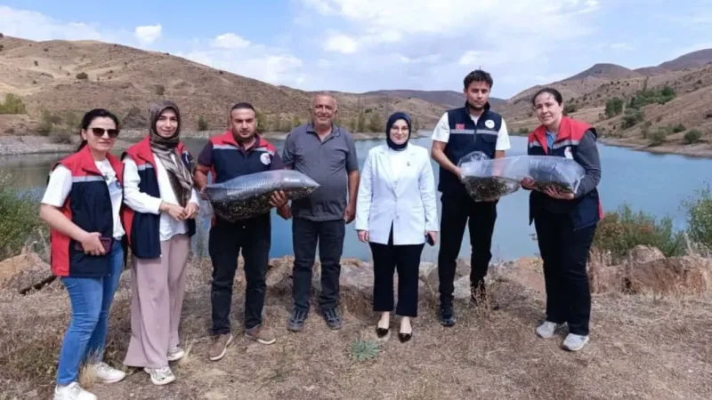Sivas’ta iç su kaynaklarına 600 bin yavru balık bırakıldı