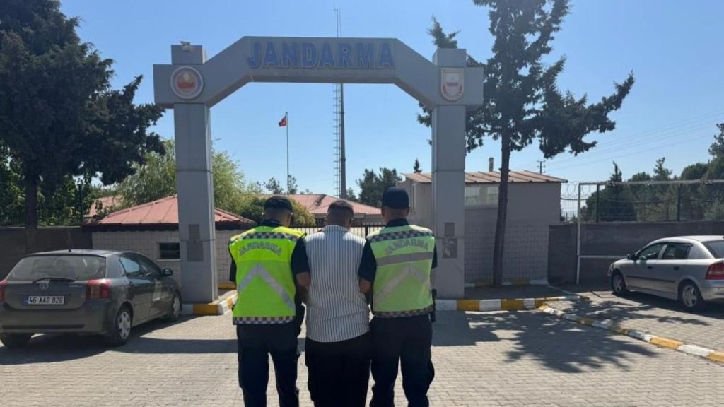 Sivas’ta köpeğe şiddet olayına soruşturma başlatıldı