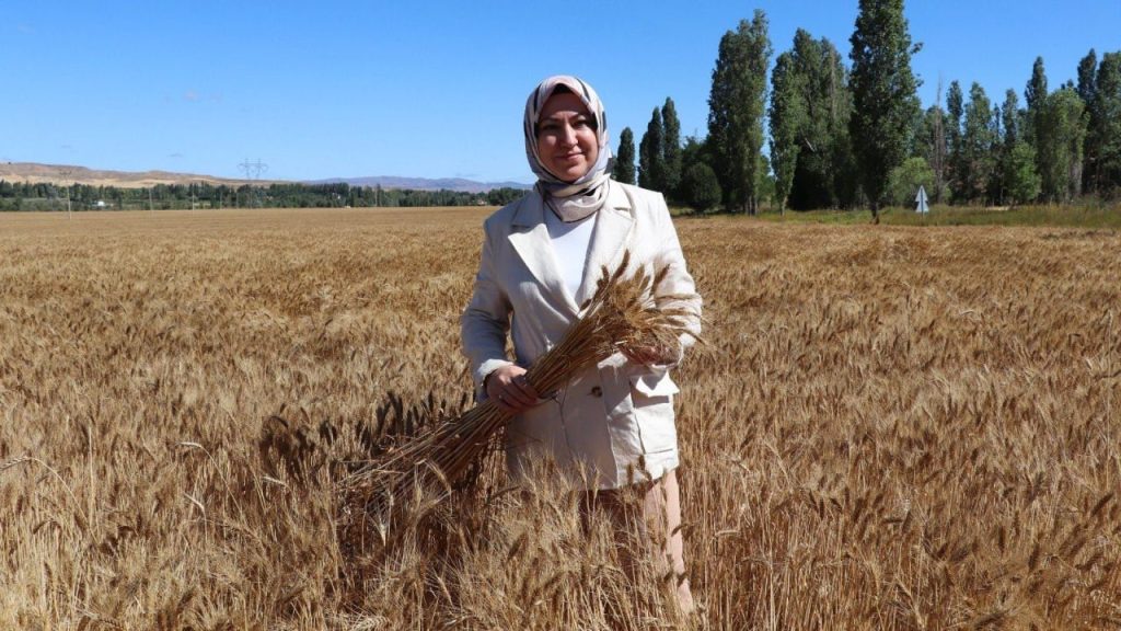 Sivas’ta Tarım ve Hayvancılıkta Büyük Artışlar Kaydedildi