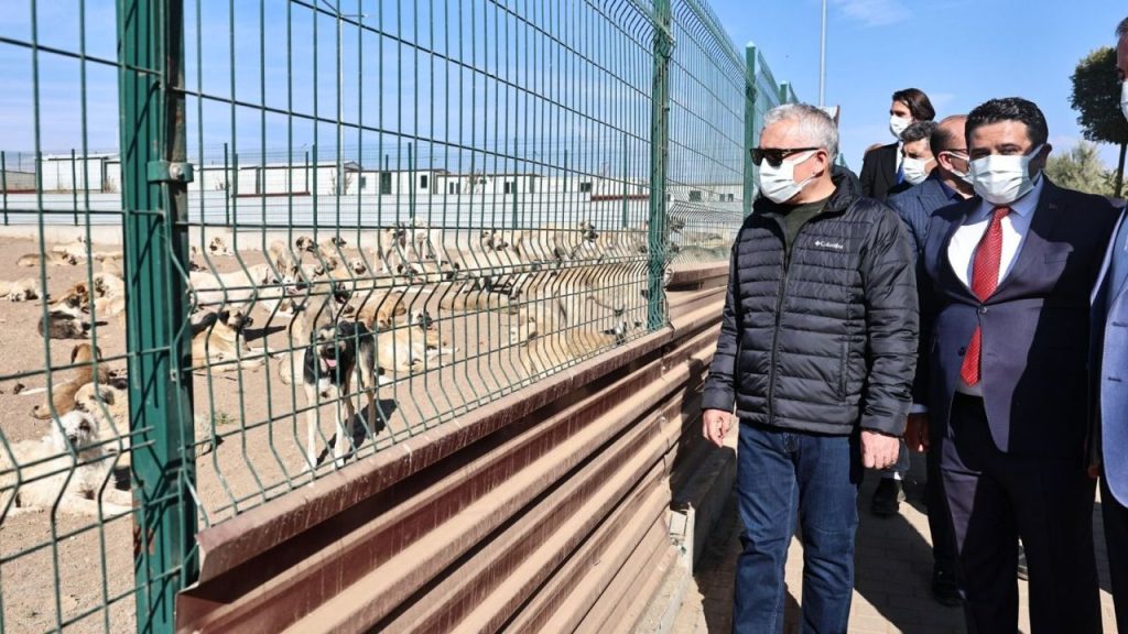 Sivas’taki Modern Sokak Hayvanları Rehabilitasyon Merkezi