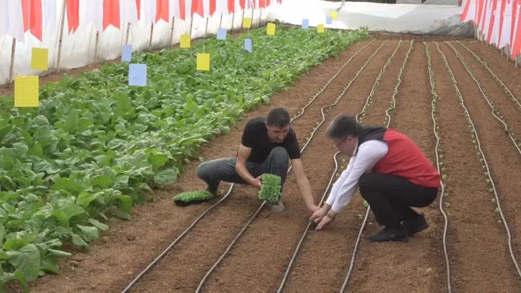 Tarım ve Orman Bakanı Yumaklı Şile’de vatandaşı bilgilendirdi