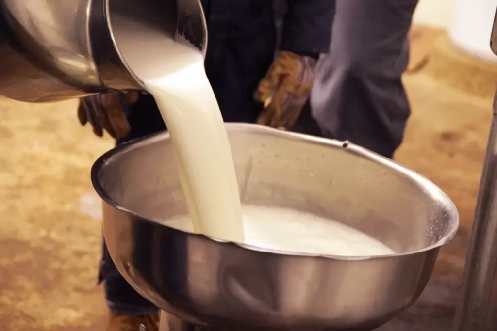 Ulusal Süt Konseyi’nden Çiğ Süt Fiyatında Artış Kararı