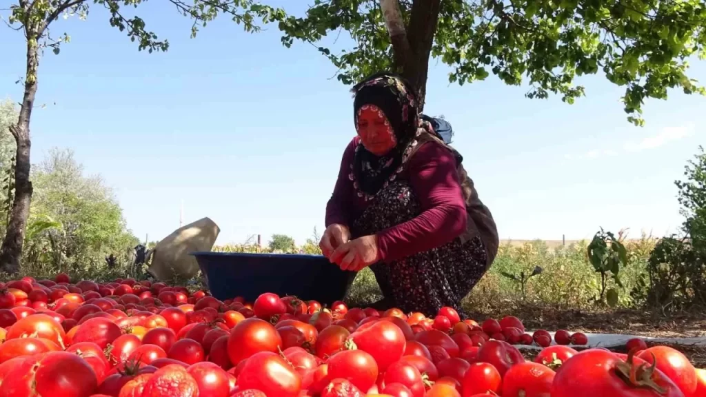 Yatırımcılar ve Hırsızlar için Kötü Haber: GSM Operatörleri Kapsamlı Güvenlik Gelişmeleri