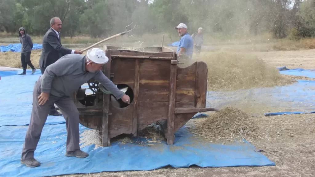 Ata tohumlarıyla geleneksel yöntemlerle fasulye üretimi sürüyor