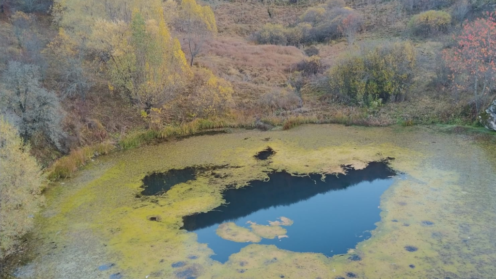 Dipsiz Göl’de Yosun ve Bitki Birikintileri Endişe Yarattı