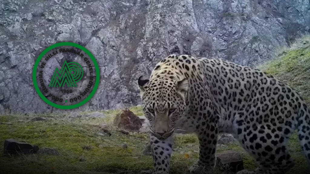 Doğa Koruma ve Milli Parklar 240 Sözleşmeli Personel Alımı Yapacak