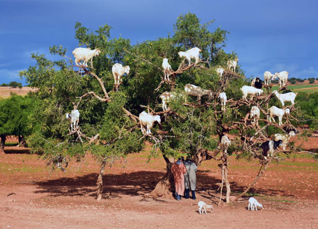Aydın Aile Hekimleri Derneği Eğitim Şubesi'nin düzenlediği “Dünyanın Diğer Yarısı” fotoğraf sunumu ve söyleşisi, Aydın Eczacı Odası Konferans Salonu’nda gerçekleştirildi.