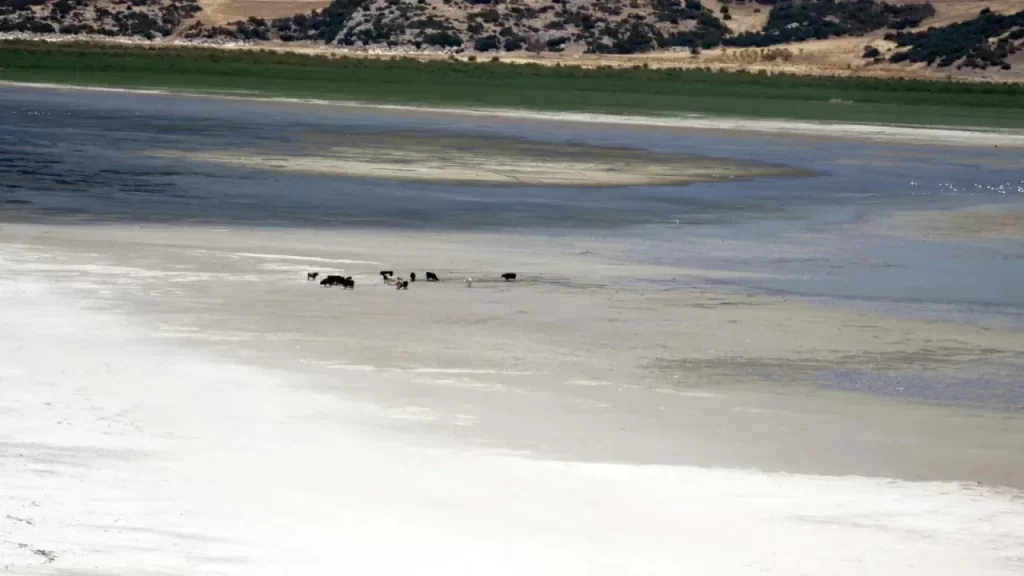 Eğirdir Gölü’nde ciddi su kaybı ve ekolojik kriz