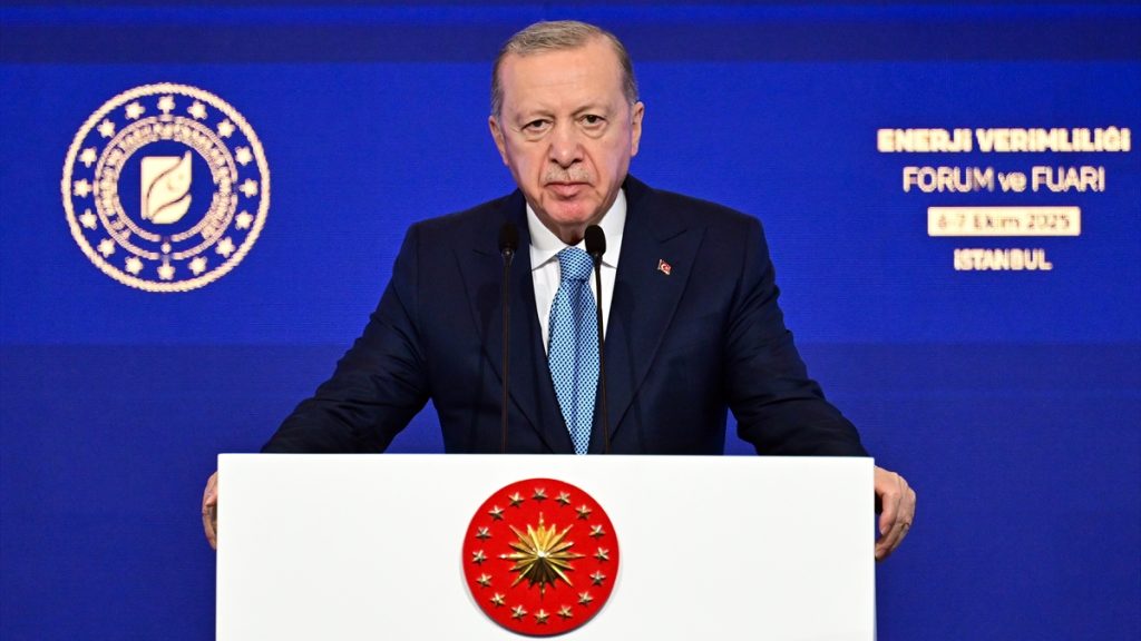 Erdoğan’dan enerji güvenliği ve verimlilik vurgusu