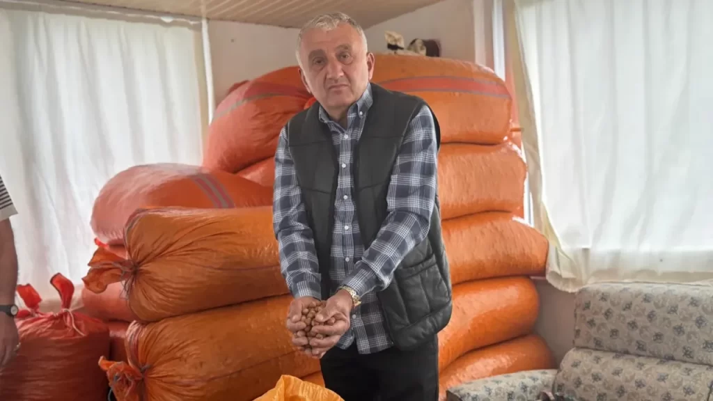 Fındık Fiyatlarındaki Dalgalanma ve Üreticilerin Beklentileri