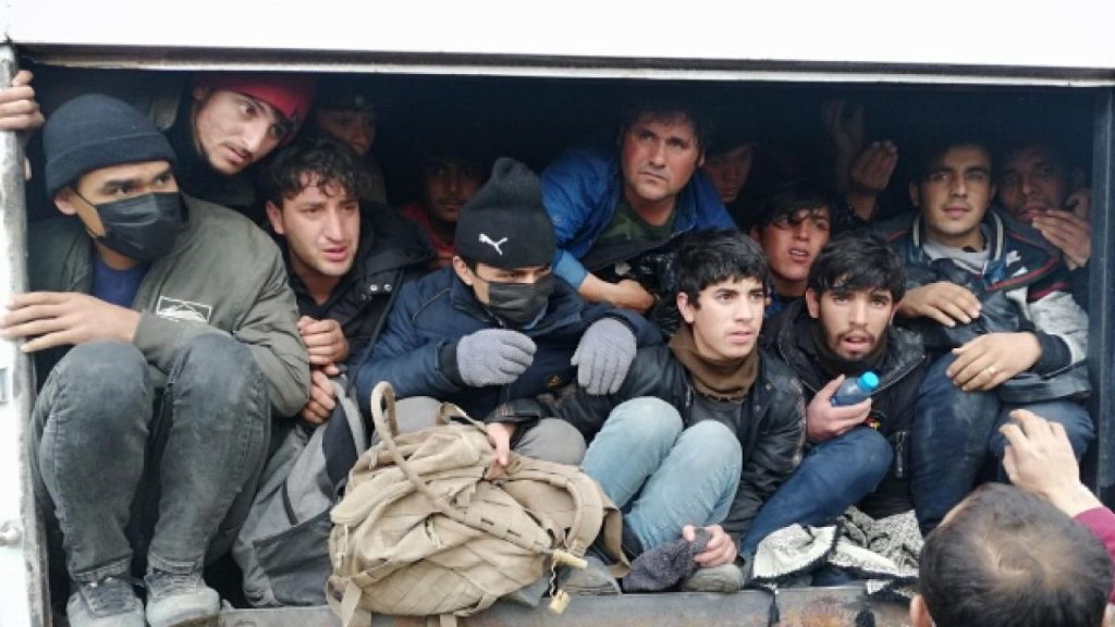 Göçmen Kaçakçılığı Operasyonlarında 169 Suriyeli Yakalandı