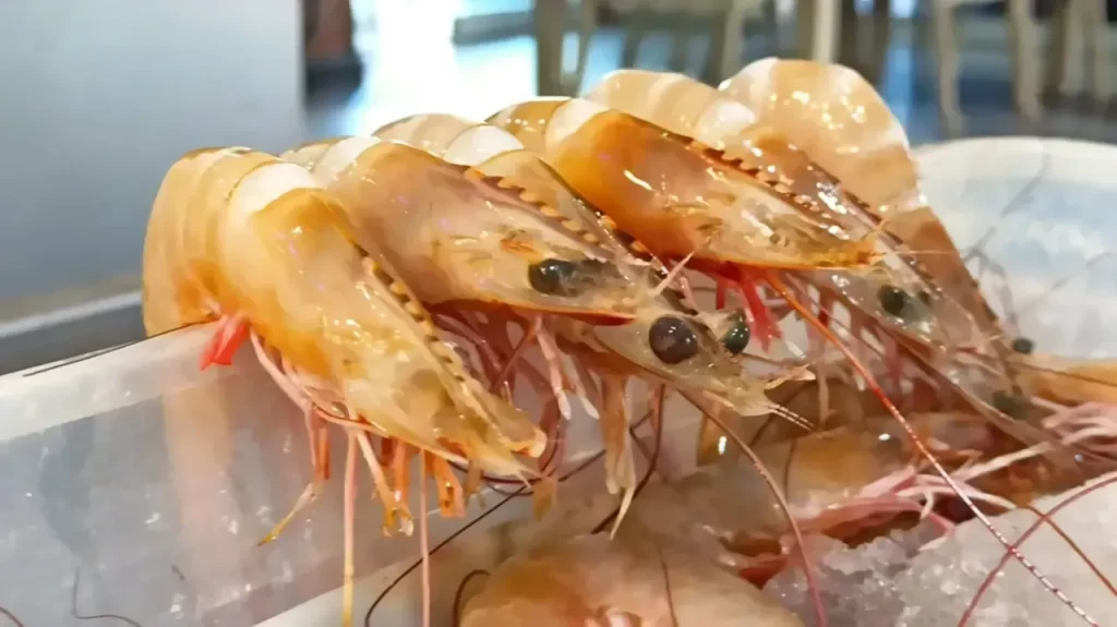 İskenderun Körfezi’nde Balıkçılık Bolluğu ve Fiyatlar Düşüşte