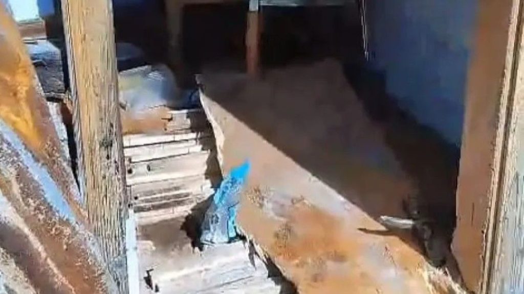 Köye İnmiş Ayılar 8 Eve Zarar Verdi, Yiyecek Aradılar