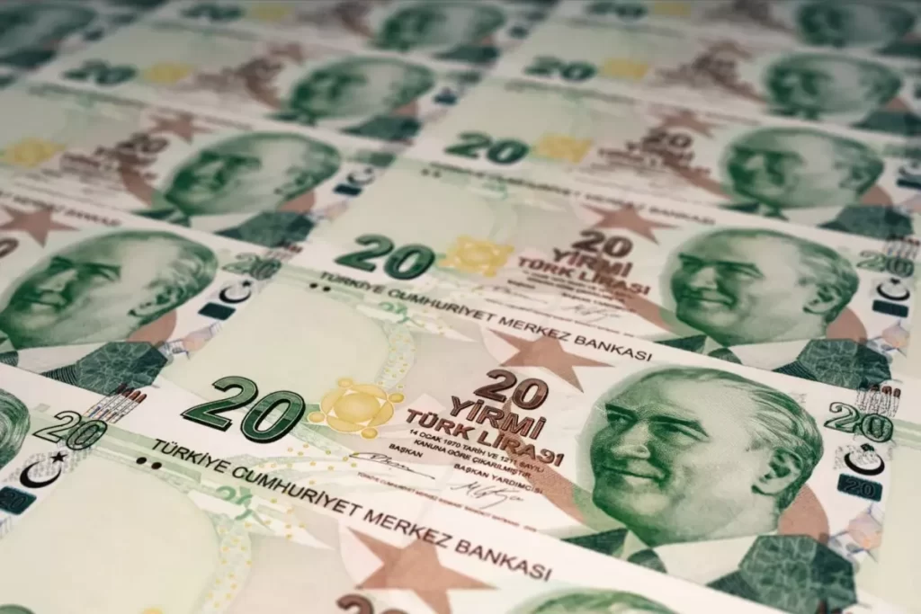 Merkez Bankası 20 TL banknotları tedavüle sundu