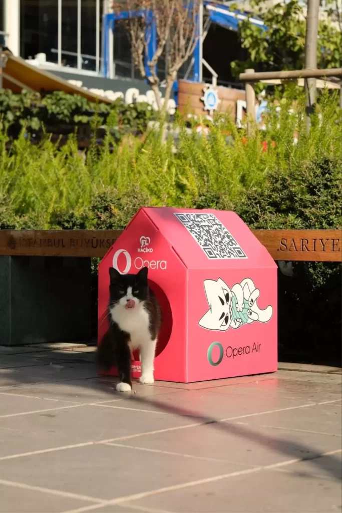 Opera Air, Kedi Sevgisi ve Sokağa Duyarlı Projeleriyle Öne Çıkarıyor