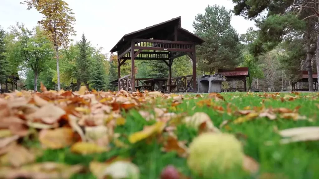 Paşabahçe Mesire Alanı Sonbaharda Büyüleyici Görüntüler Sunuyor