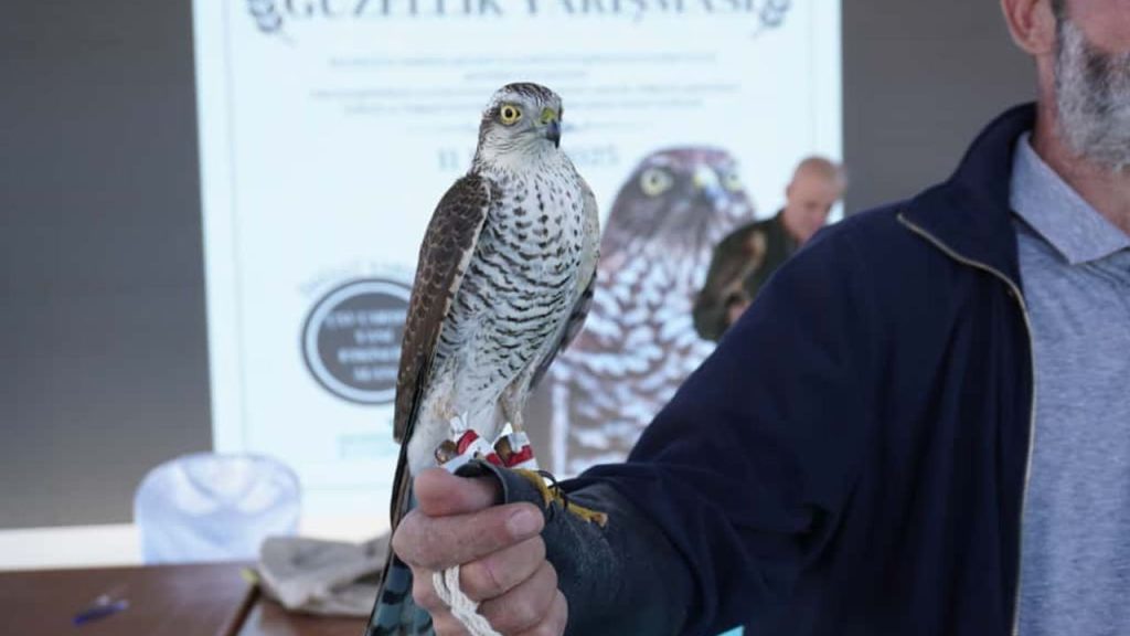 Rize’de Atmaca Güzellik Yarışması büyük ilgi gördü