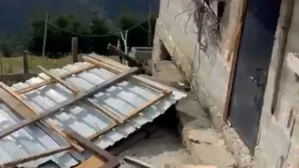 Rize’nin Çamlıhemşin’inde ayı saldırıları paniğe neden oldu