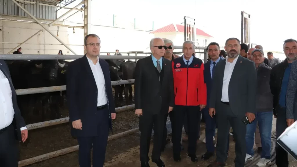 Sivas’ta 41 manda boğasıyla verimlilik artırma projesi başlatıldı