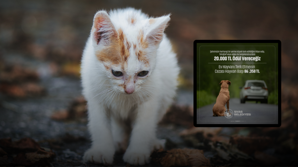 Sivas’ta Evcil Hayvanlarını Terk Edenlere Ağır Yaptırımlar Gelecek