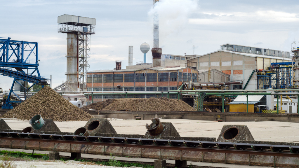 Sivas’ta Pancar Hasadı Başladı: Yüksek Şeker Oranları ve Fabrika Talepleri