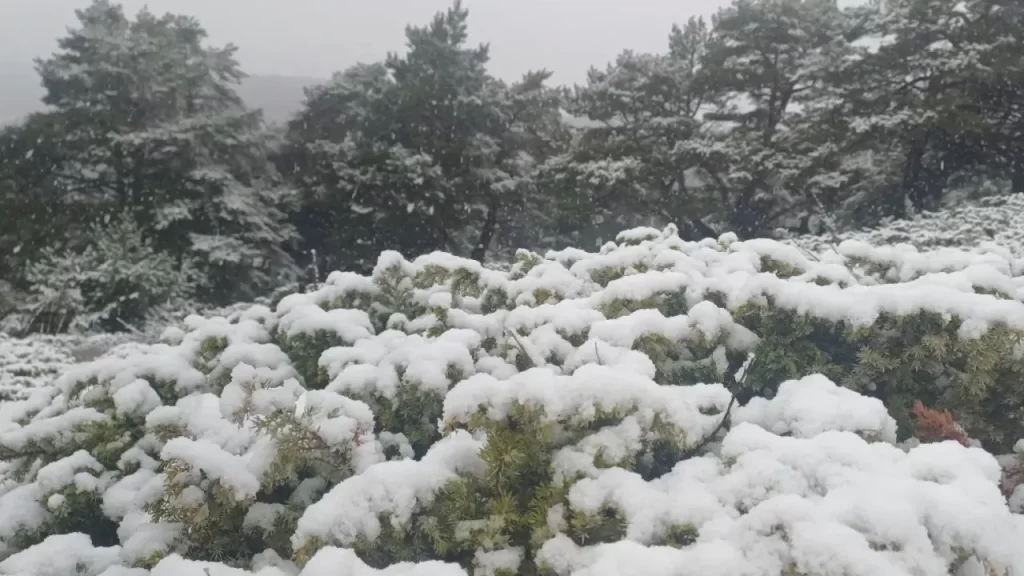 Tokat’ta sabah saatlerinde kar yağışı etkili oldu