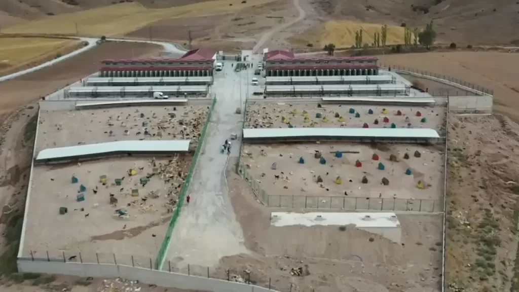 Tokat’ta Sahipsiz Hayvanlar İçin Modern Bakım Merkezi İnşası Başladı
