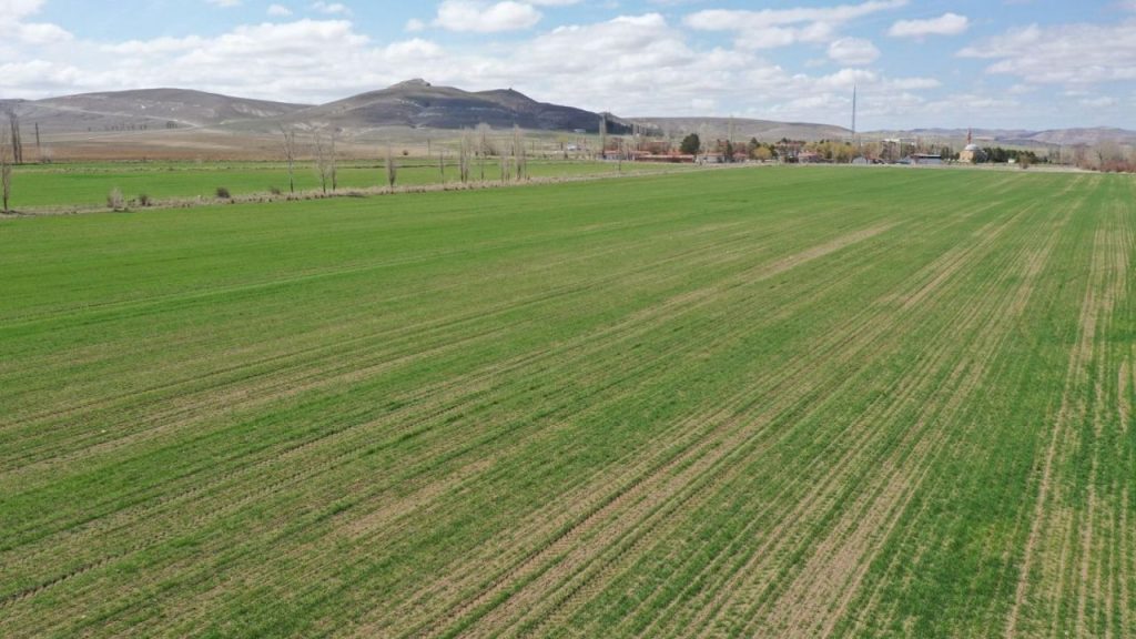 Türkiye’nin tarımsal verileri 2025 sonunda tamamlanacak