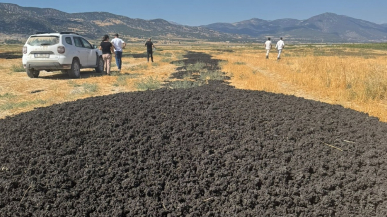 Detaylı İnceleme ve Denetimler