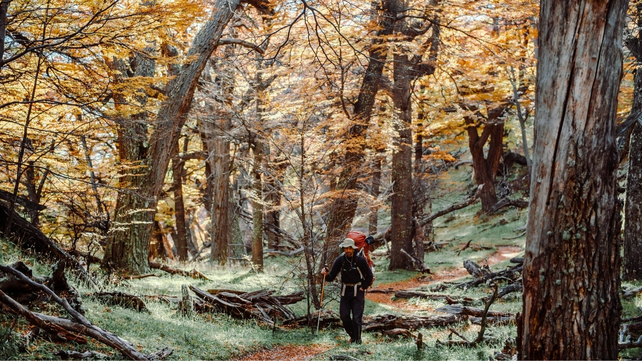 Hafta Sonu Hava Durumu ve Sıcaklıklar