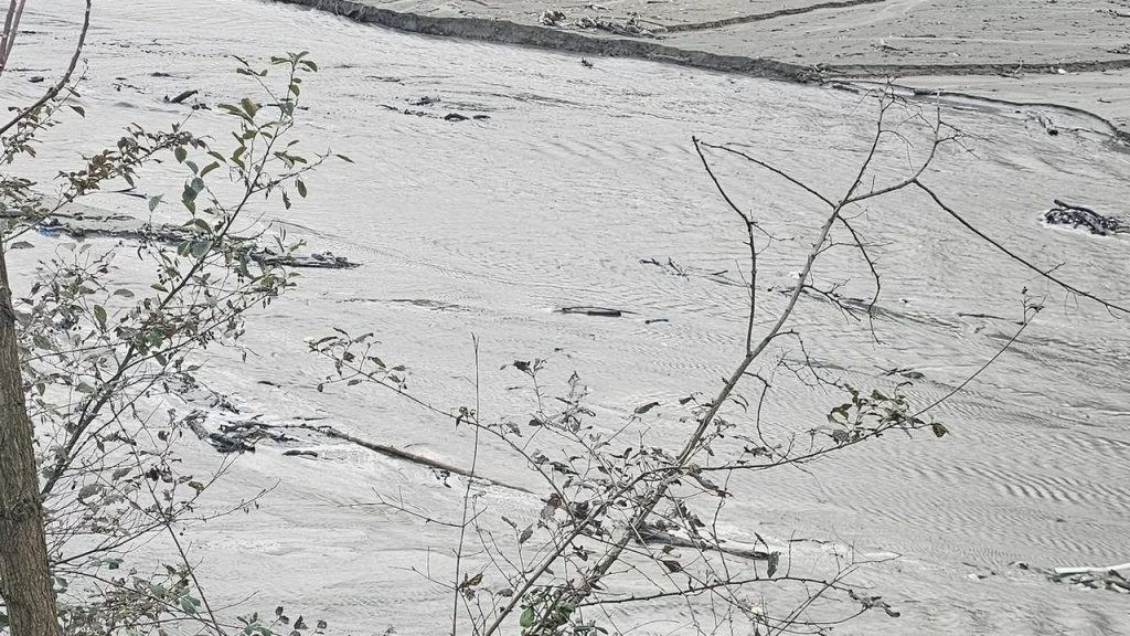 Harşit Çayı’nda Zehirli Felaket: Doğaya ve Canlılara Darbe