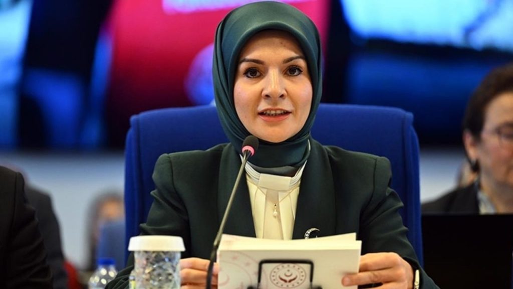 Kadına Yönelik Şiddetle Mücadele Eylem Planı Resmi Gazete’de