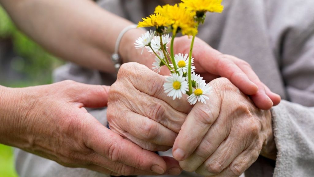 Kasım ayında yaşlı ve engelli aylık ödemeleri başladı