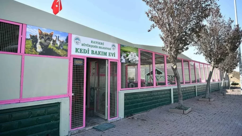Kayseri’de Sokak Hayvanlarına Yönelik Müdahale ve Bakım Merkezi
