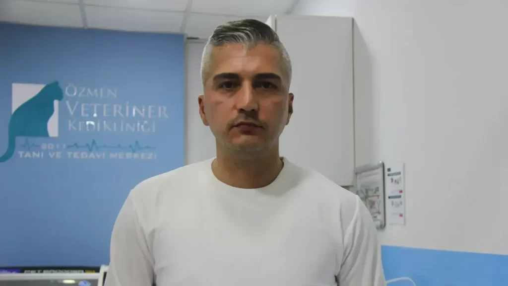 Kedide HIV Benzeri FIV Virüsü Tanısı ve Korunma Yolları