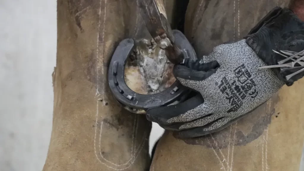 Nalbantlık Mesleği Sivas’ta Azalırken Özveriyle Devam Ediyor